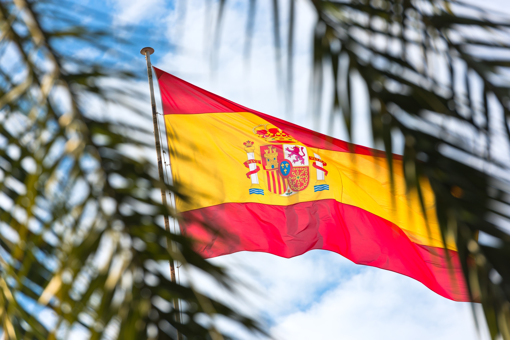 National Flag of Spain with palm tree leaves